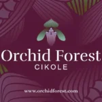 Logo ORCHID FOREST CIKOLE
