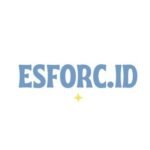Logo ESFORC.ID