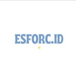 Logo ESFORC.ID